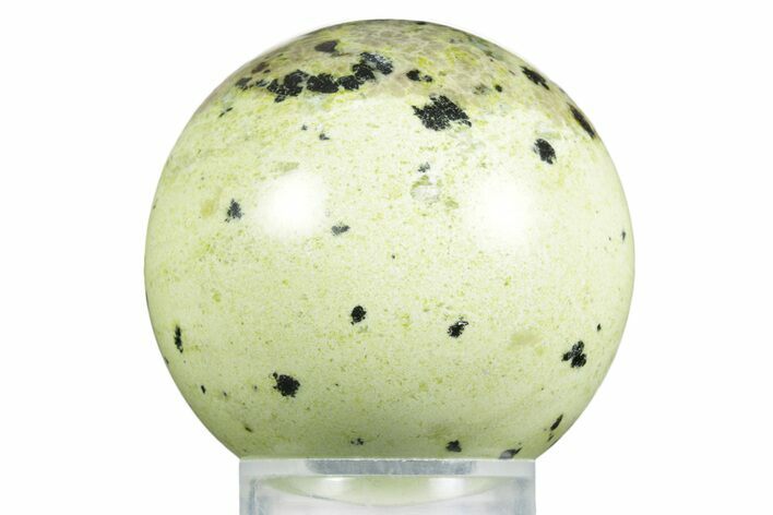 Polished Lizardite With Hematite Sphere #350140